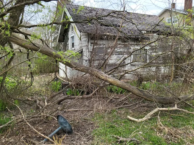 Cleanup, Dumpster, and Demolition Services in Canton